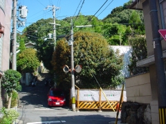 マンション建築前の緑豊かな船岡山