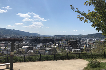 ウォーキングをしたときの風景