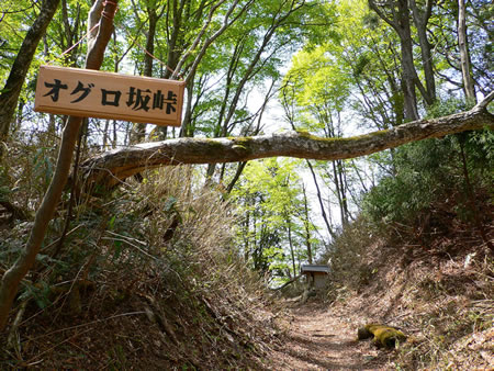 家康が逃げ延びたというオグロ坂峠－峠中央に祠が見えます