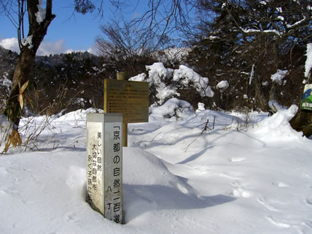 雪に埋もれた八丁平