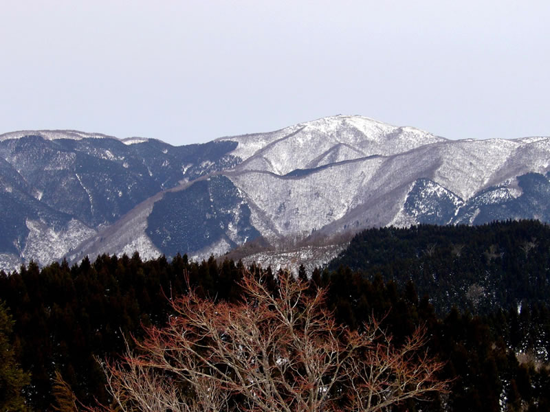 皆子山山頂から蓬莱山を望む