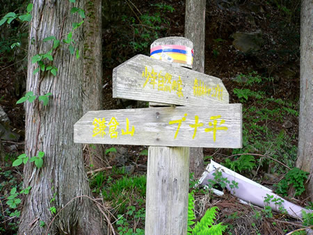 登山口にある鎌倉山への案内標識