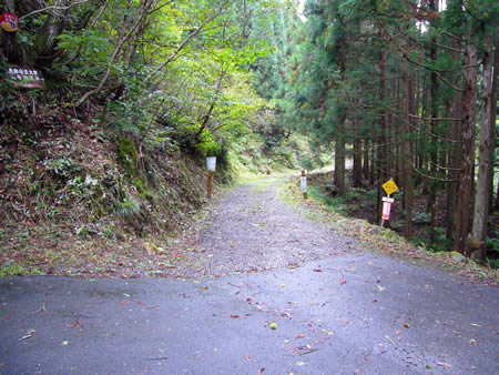 岩屋谷・滝谷の出合い