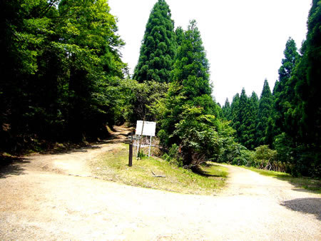 ケヤキ坂峠（左は杉尾峠へ続く林道）