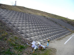 坂道ダッシュが行われた堤防の斜面