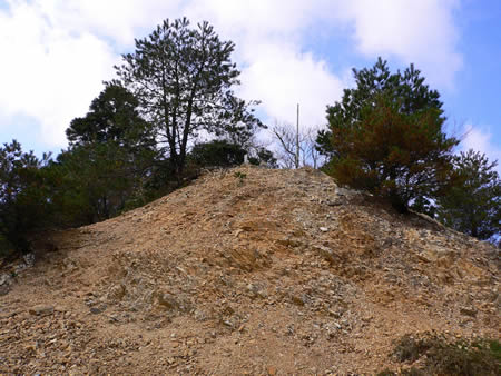 愛宕山の三角点がある小山