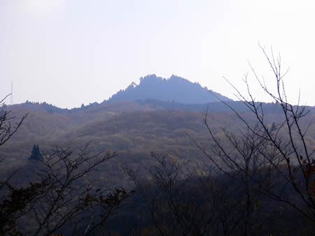 鶏冠のような愛宕山山頂の森