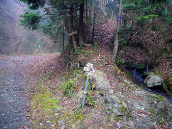 桑谷山への登山口