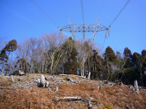 ２本目の鉄塔が間近に見えます