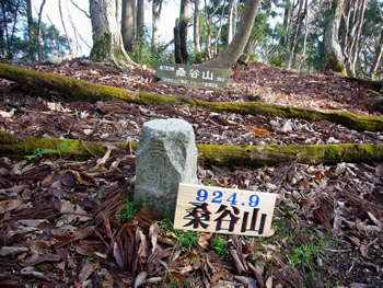 桑谷山の三角点(四角が削られている)