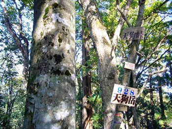 天狗峠山頂のプレート